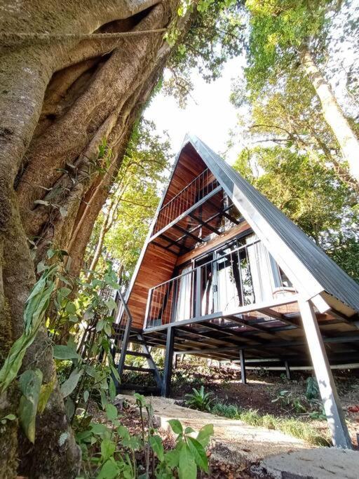 Casa Del Arbol Villa Monteverde Exterior photo
